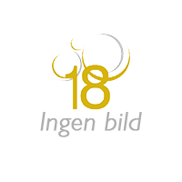 18 Karat Smyckeset